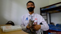 Pria kelahiran 28 April 2004 ini juga cukup berprestasi dan pernah Juara 1 LCC Fisika se-provinsi (2019), Juara 2 KSNK Astronomi (2020), Juara 1 KSNK Astronomi (2021) dan menjadi Paskibraka Bangka (2021) serta pernah didapuk menjadi Duta Anak Bangka (2020).