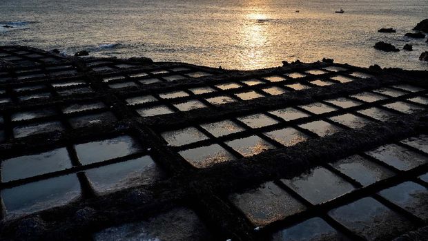 Garam yang terkena abu vulkanik yang disebabkan oleh letusan gunung berapi Cumbre Vieja, di Fuencaliente, di Pulau Canary La Palma, Spanyol. (REUTERS/JUAN MEDINA)