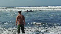 Warga setempat berusaha membantu membawa ikan tersebut kembali ke laut, sehingga ikan tersebut berhasil kembali ke laut.