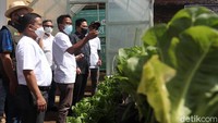 Selain digunakan untuk beribadah bagi warga sekitar, halaman masjid ini digunakan untuk bercocok tanam dengan menggulirkan program Masjid Makmur Tur Alus Hejo Pakarangan (Mamatahan) turunan dari program Buruan SAE Dinas Ketahanan Pangan dan Pertanian (DKPP). Di lokasi tersebut Erick melihat tempat pembibitan benih sayur dan meninjau tempat penanaman sayur.