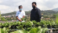 Erick juga memuji pengelola buruan SAE di masjid tersebut karena sistem penyiraman sayur di lokasi itu otomatis atau menggunakan remote control yang dikendalikan menggunakan ponsel. Setelah melihat lokasi buruan SAE yang ada di halaman masjid, Erick juga langsung naik ke lokasi buruan SAE yang ada di rooftop masjid tersebut.