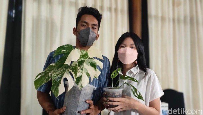 Innandprops