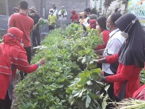 Kampung di Pasuruan Sukses Terapkan Urban Farming Saat Pandemi COVID-19