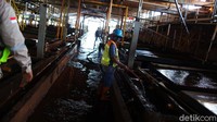 PT Timah Tbk menjadi salah satu perusahaan yang mengembangkan pengelolaan logam tanah jarang di Indonesia.Foto: Rachman_punyaFOTO