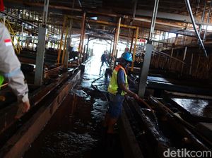 Perminas Bakal Garap Proyek Logam Tanah Jarang di Mamuju
