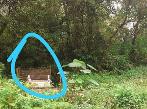 Muncul Makam di Pinggir Jalur Pegunungan Ijen, Warga Bertanya-tanya