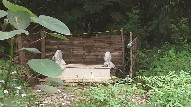 Makam Misterius Muncul di Jalur Kawah Ijen Banyuwangi, Kramat?