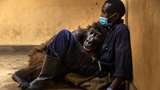 Ndakasi, Gorila yang Terkenal Usai Foto Selfie Mati di Pelukan Penjaganya