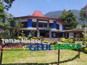 Terobos Pagar, Pendaki Ilegal Dihukum Petugas Gunung Gede Pangrango