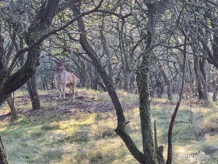 Senja nan Sejuk di Sudut Kota Zandvoort Belanda