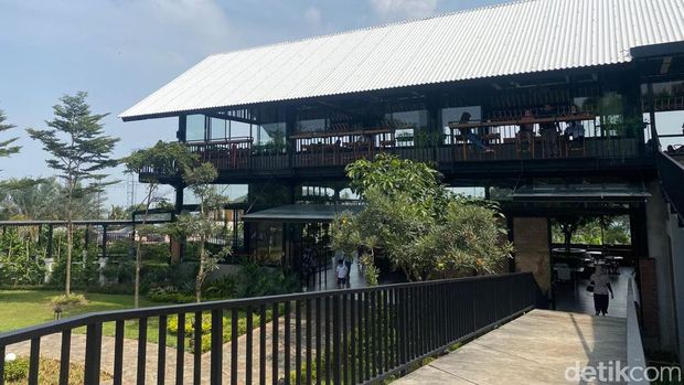 Viral di Sentul, Pancar Garden Tawarkan Ngopi dengan 'View' Gunung