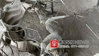 Namun, karena desainnya yang tidak biasa dan penampilannya yang menonjol di antara bangunan lainnya di Kota Xinxu, apa yang disebut dengan Peasant Art Building ini telah menjadi daya tarik wisata. Foto: Dok: Odditycentral