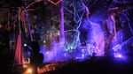 Baru Nih! Ada Wisata Malam Hutan Menyala di Bandung