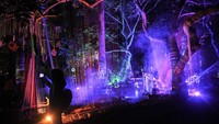 Pengunjung melakukan swafoto di Hutan Menyala, Taman Hutan Raya Juanda, Kabupaten Bandung, Jawa Barat.  