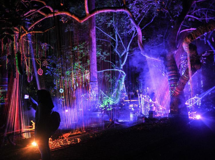 Baru Nih! Ada Wisata Malam Hutan Menyala di Bandung