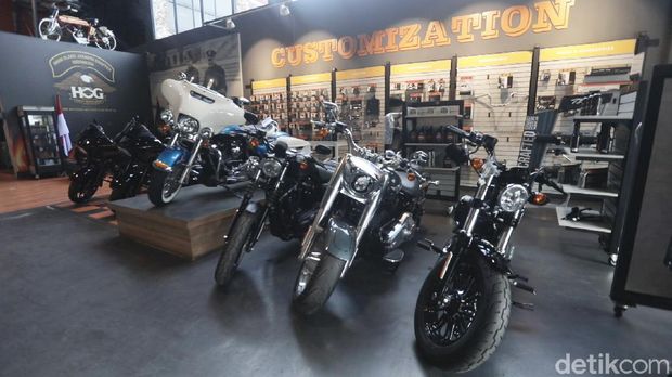 Dealer Harley Davidson Anak Elang