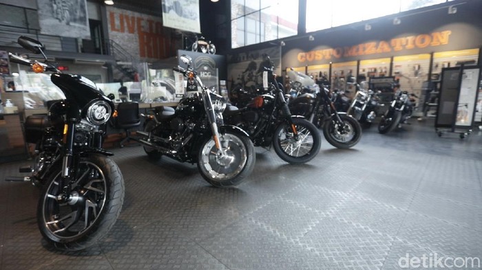 Dealer Harley Davidson Anak Elang