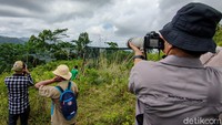 Semakin masuk ke dalam wilayah Jatimulyo, suasana sepi kian terasa. Sunyi senyap jauh dari hiruk pikuk perkotaan, diisi oleh suara kicauan burung yang seakan menyambut siapapun yang berkunjung ke tempat ini. (Jalu Rahman Dewantara/detikcom)