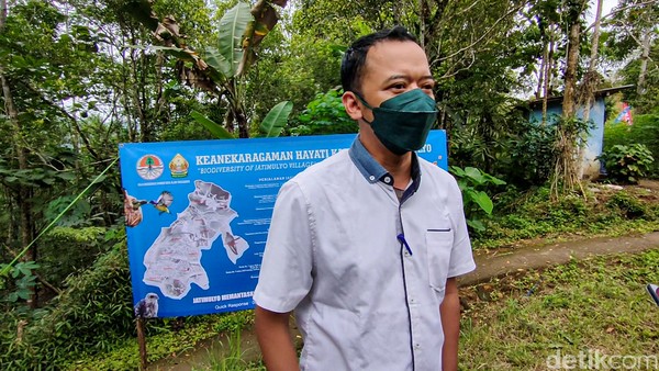 Kami menerapkan sanksi bagi siapapun yang kedapatan berburu di sini. (Sanksi) berjenjang dari mulai teguran, dan kalau memang masih berlanjut kita akan serahkan kepada pihak yang berwajib, kata Carik Jatimulyo, Diyanta (Jalu Rahman Dewantara/detikcom) Kami menerapkan sanksi bagi siapapun yang kedapatan berburu di sini. (Sanksi) berjenjang dari mulai teguran, dan kalau memang masih berlanjut kita akan serahkan kepada pihak yang berwajib, kata Carik Jatimulyo, Diyanta (Jalu Rahman Dewantara/detikcom)