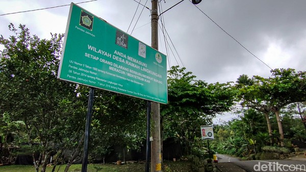 Bernama Jatimulyo, kalurahan ini telah dikenal sebagai desa ramah burung. (Jalu Rahman Dewantara/detikcom)