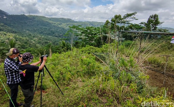Jatimulyo terletak di kawasan Bukit Menoreh, sebuah pegunungan kapur yang membentang dari Kabupaten Kulon Progo (DIY), Purworejo, dan Magelang (Jawa Tengah). (Jalu Rahman Dewantara/detikcom)