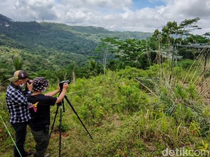 Perkenalkan, Ini Jatimulyo, Surganya Spesies Burung Langka DIY