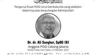 Dr. ali sungkar female daily