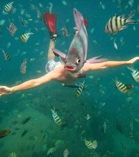 13 Foto Lucu yang Tak Sengaja Tertangkap Kamera