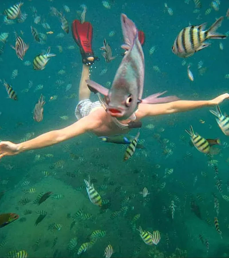 13 Foto Lucu yang Tak Sengaja Tertangkap Kamera