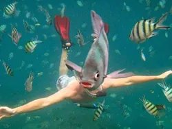 13 Foto Lucu Tak Sengaja Tertangkap Kamera, Paling Kocak yang Mana?