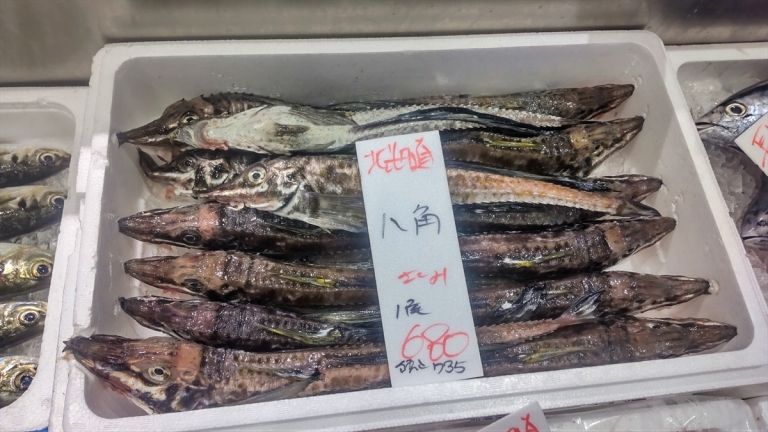 Ikan Menyeramkan Ini Ternyata Bisa Dibuat Sashimi