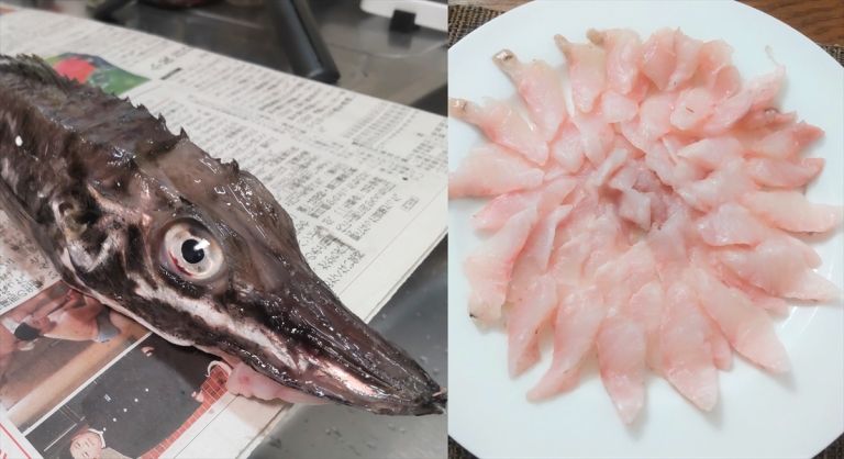 Ikan Menyeramkan Ini Ternyata Bisa Dibuat Sashimi