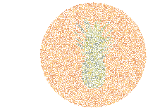 Kelihatan Jelas atau Samar? Uji Ketelitian Mata lewat Tebak Gambar Buah Ini