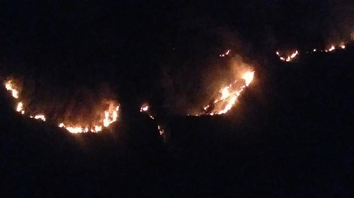 Hutan di Taman Nasional Bromo Tengger Semeru (TNBTS) terbakar. Kebakaran terjadi di dua titik.