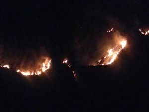 Muncul Titik Api Baru, Kebakaran Jalur Pendakian Semeru Belum Padam Total