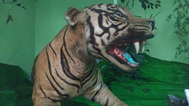 Koleksi Museum Sang Nila Utama (Foto: Raja Adil/detikcom)