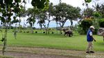 Foto Museum dan Galeri Rudana, Spot Asyik Menikmati Seni di Bali