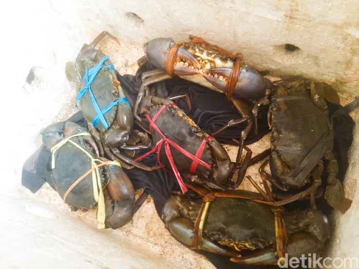 Seafood Abil 88: Ada Kerang Bambu Lada Hitam hingga Kepiting Saus Telur Asin yang Gurih Creamy