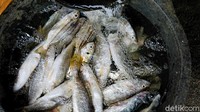 Bahan baku ikan untuk pengasapan bisa berbagai macam, bisa ikan petek, ikan bandeng, sampai ikan pari.