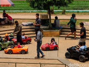 Wisata Tangerang Jadi Incaran Turis, Kelanjutan Kasus Anjing Canon
