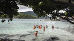 Asiknya Snorkling di Pantai Rubiah