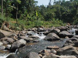 Wisata Bogor, Cobain Menyusuri Sungai, Mandi di Curug Leuwi Asih