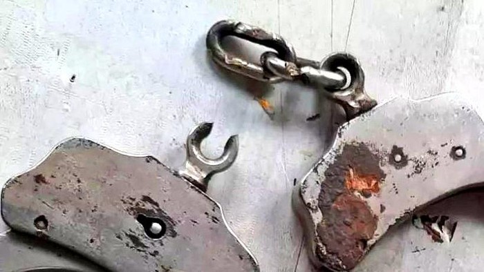 Borgol yang dilepaskan Damkar Pesanggrahan dari tangan warga (Dok. Twitter humasjakfire).