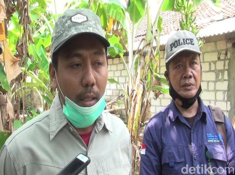 BKSDA Jatim memastikan bunga bangkai yang tumbuh di pekarangan warga Lamongan adalah jenis bunga suweg. Atau Amorphophallus paeoniifolius.