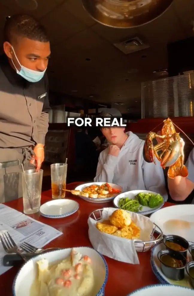 Demi Konten, Dua Pria Ini Bawa Lobster Hidup Untuk Prank Pelayan Restoran