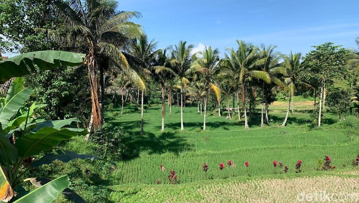 Desa Tetebatu