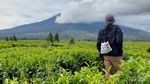 Ingin Bersantai di Kaki Gunung Kerinci? Ini Tempatnya