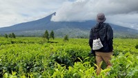Tidak jauh dari cafe sahabat traveler bisa menikmati indahnya perkebunan teh yg luas dengan view gunung Kerinci