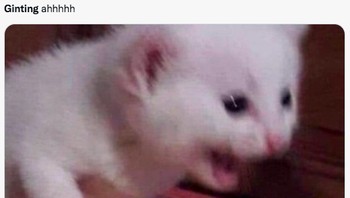 Hayoo, tadi kamu teriak begini juga nggak?Ginting aaaahhh! Foto: (Twitter)