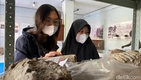 Ada sekitar 200 benda cagar budaya berasal dari empat peradaban yang tersimpan di rumah artefak. 